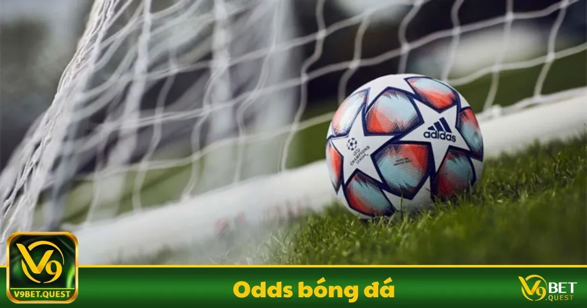 Odds Bóng Đá Là Gì? Những Điều Cơ Bản Người Chơi Cần Biết